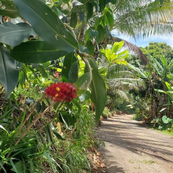 Hike Maui - Tours Near Me - Kahului, Hawaii Hike Maui - Tours Near Me - Kahului, Hawaii