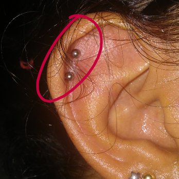 Southbay Tattoo & Piercing - The double helix I got on my right ear. - Tattoo Near Me - Carson, California Southbay Tattoo & Piercing - The double helix I got on my right ear. - Tattoo Near Me - Carson, California