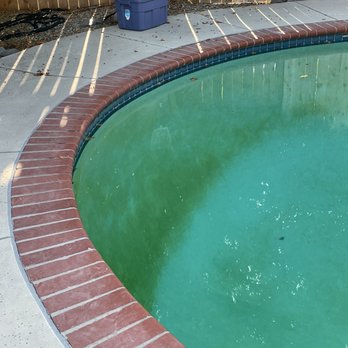 Bob Your Pool Guy - Before. The other service told me this was caused by the hot days we were having. - Pool Cleaners Near Me