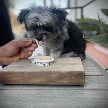 Lucky Dog Gelato - Doggy gelato - Ice Cream & Frozen Yogurt Near Me - San Clemente, California Lucky Dog Gelato - Doggy gelato - Ice Cream & Frozen Yogurt Near Me - San Clemente, California