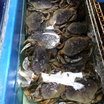 Fisherman's Market - Live blue Dungeness crabs - Seafood Near Me - Eugene, Oregon