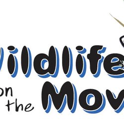 Wildlife On The Move