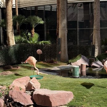 Flamingo Las Vegas - Hotels Near Me - Las Vegas, Nevada