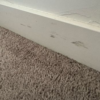Action Plus Cleaning - Home Cleaning Near Me - Salt Lake City, Utah Action Plus Cleaning - Home Cleaning Near Me - Salt Lake City, Utah
