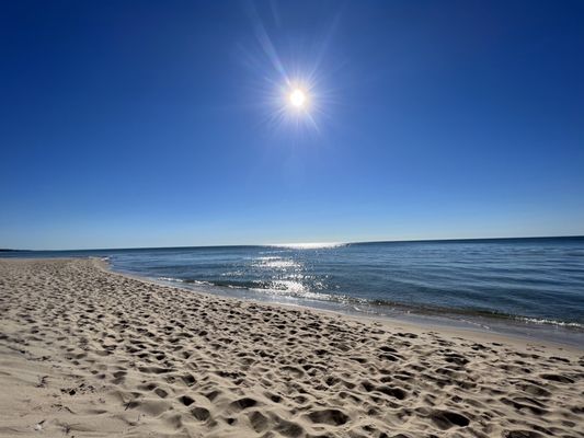 Rosy Mound Natural Area by null
