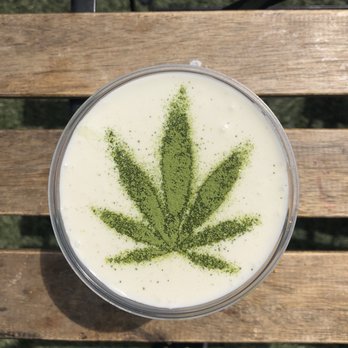SF Matcha Fest - Festivals Near Me - San Francisco, California SF Matcha Fest - Festivals Near Me - San Francisco, California