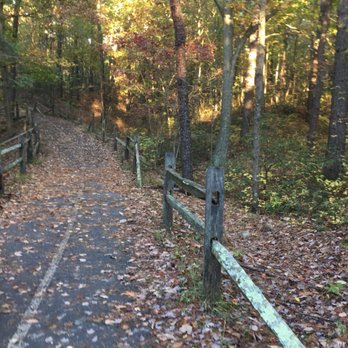 Blueberry Hill Trail - Hiking Near Me - Gibbsboro, New Jersey