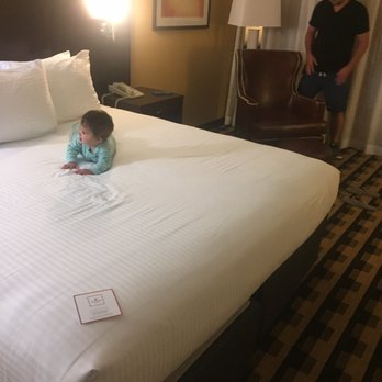 Millennium Buffalo - King bed-no AC though - Hotels Near Me - Buffalo, New York Millennium Buffalo - King bed-no AC though - Hotels Near Me - Buffalo, New York