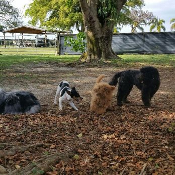 FreeSpirit Training Center - Pet Training Near Me - Miami, Florida