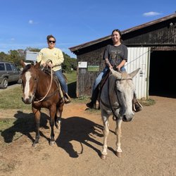 Oakland Heights Farm - Started out at the barn