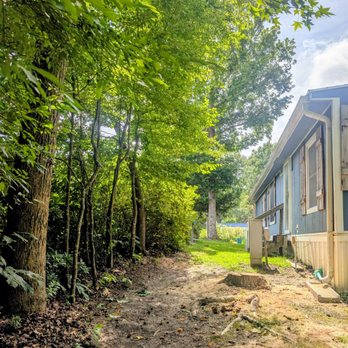 Professional Tree Service - Tree Services Near Me - Wilmington, North Carolina Professional Tree Service - Tree Services Near Me - Wilmington, North Carolina