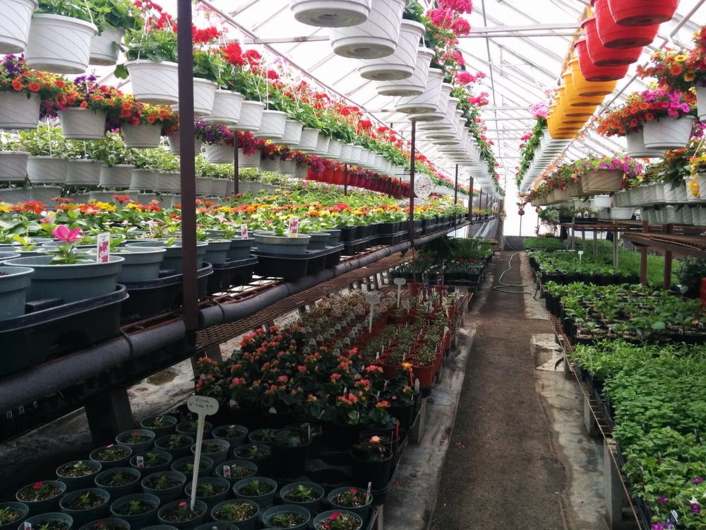 RILEY’S GARDEN CENTER Updated October 2024 2129 Bath Road, Kingston