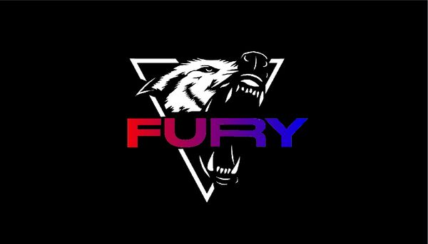 Fury Fitness