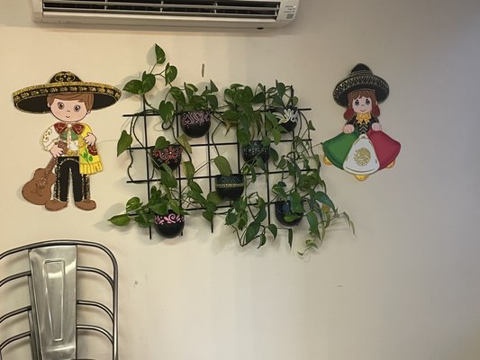 Momma's Tacos by null