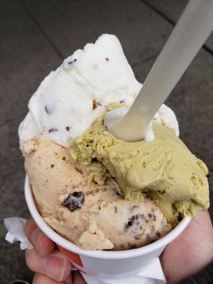 Nutty Squirrel Gelato by null