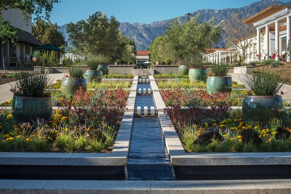 The Huntington Library, Art Museum, and Botanical Gardens by null