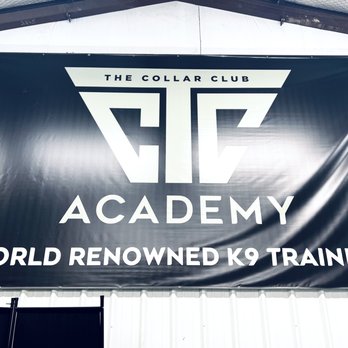 The Collar Club Academy - Inside banner - Pet Training Near Me - Denton, Texas The Collar Club Academy - Inside banner - Pet Training Near Me - Denton, Texas
