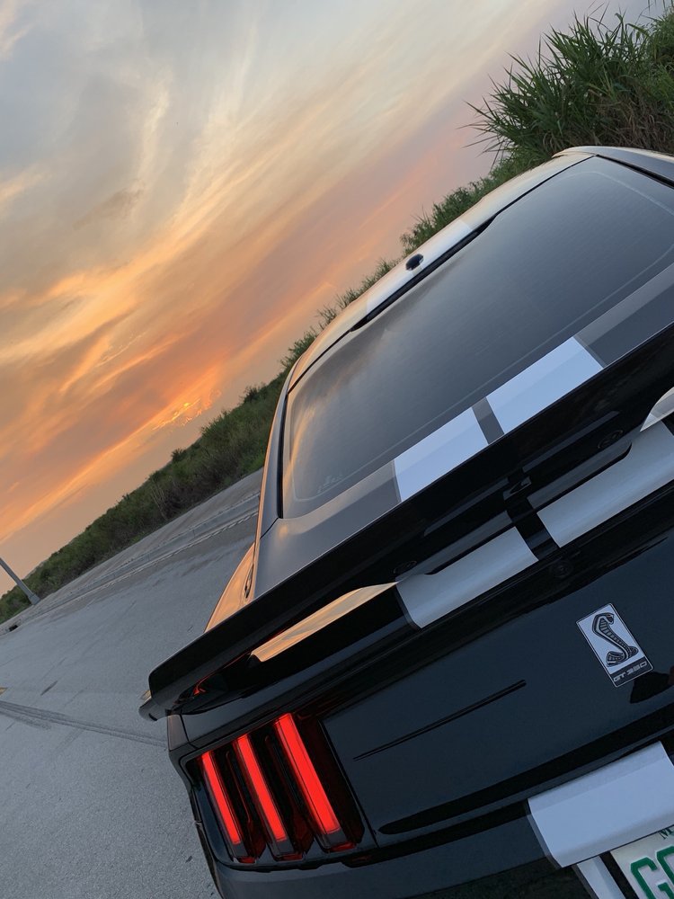 HIGH END DETAIL 372 Photos & 134 Reviews 11801 SW 144th Ct, Miami