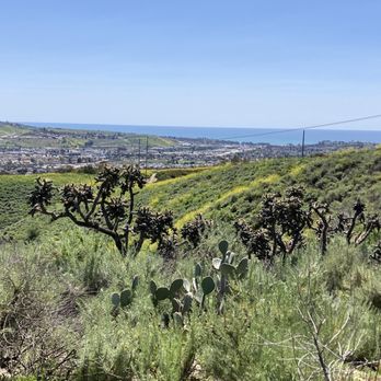 Monarch Beach Market - a view of the city of san diego from the top of a hill - Delis Near Me - Dana Point, California Monarch Beach Market - a view of the city of san diego from the top of a hill - Delis Near Me - Dana Point, California