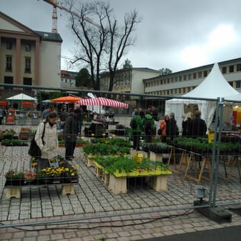 Suhler Frühling - Pflanzen wohin man sieht. - General Festivals Near Me - Suhl, TH