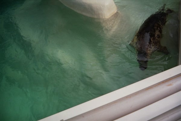 Biarritz Aquarium by null