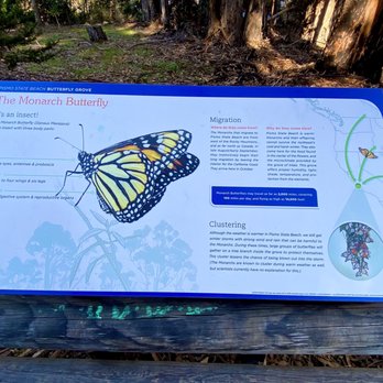 Monarch Butterfly Grove - Fun information signs - Parks Near Me