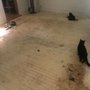 Photo of Advantage Hardwood Floors