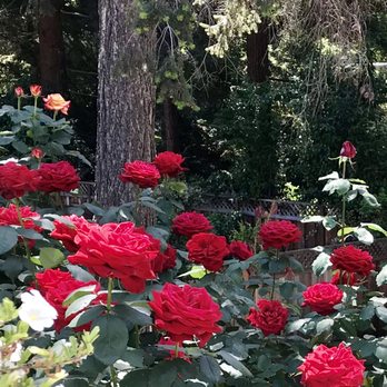 Angel Landscaping & Maintenance - Landscaping Near Me