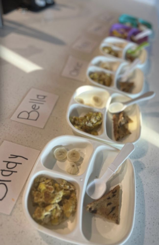 Little Blue Tots Daycare - childcare center in Fresno, CA