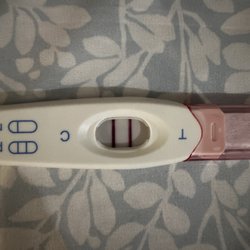 Fertility Center of Orlando