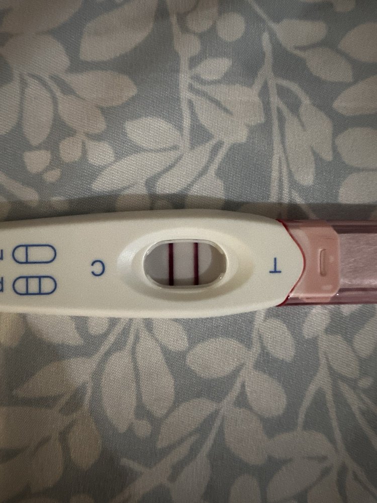 Fertility Center of Orlando - patient advocate in Longwood, FL