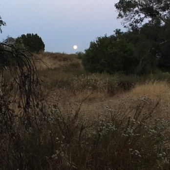 Ronald W Caspers Wilderness Park - View from our campsite in live oaks grove campground - Parks Near Me - San Juan Capistrano, California Ronald W Caspers Wilderness Park - View from our campsite in live oaks grove campground - Parks Near Me - San Juan Capistrano, California
