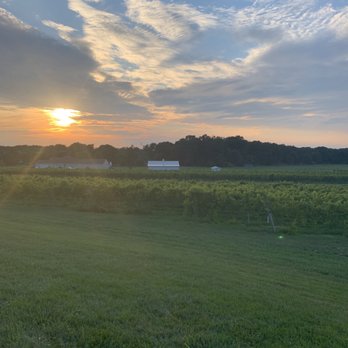 Sharrott Winery - Vineyard - Wineries Near Me - Hammonton, New Jersey Sharrott Winery - Vineyard - Wineries Near Me - Hammonton, New Jersey