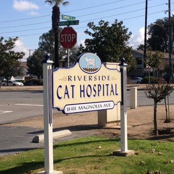 Riverside Cat Hospital - Veterinarians Near Me - Riverside, California Riverside Cat Hospital - Veterinarians Near Me - Riverside, California