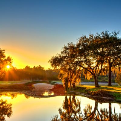 Innisbrook Resort by null