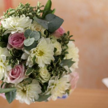 L'Eden - Piante e Fiori - Florists Near Me - Caserta, CE
