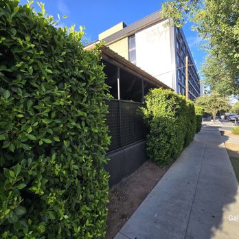 Lom Wong - Thai Near Me - Phoenix, Arizona