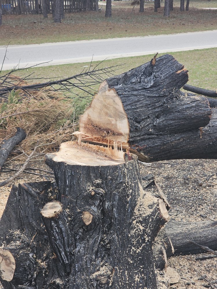 Haleys Tree Care - tree service in Charleston, SC