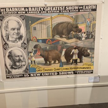 The Ringling - Art Museums Near Me - Sarasota, Florida The Ringling - Art Museums Near Me - Sarasota, Florida
