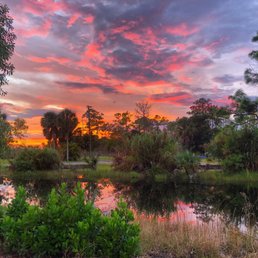Sunset from our site