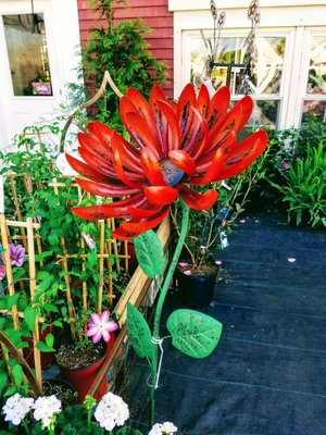 Windsor S Flowers Plants Shrubs 13 Photos 12 Reviews Florists 20326 Coastal Hwy Rehoboth Beach De Phone Number Yelp