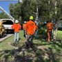 Photo of Mid-Florida Tree Service