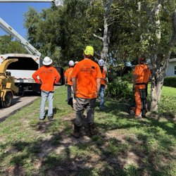Mid-Florida Tree Service