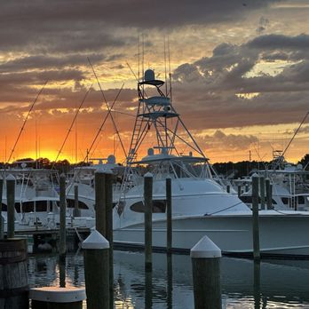 Sunset Grille - Seafood Near Me - Ocean City, Maryland Sunset Grille - Seafood Near Me - Ocean City, Maryland