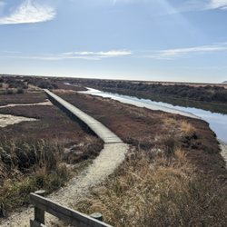Wairau Lagoons Walkway