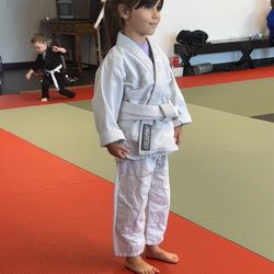 Flow State Jiu Jitsu - Go and no-Gi instructions are great!