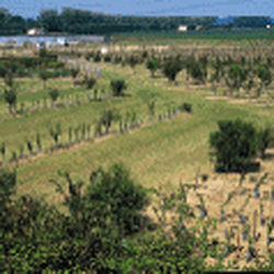 conservatoire végétal d'aquitaine