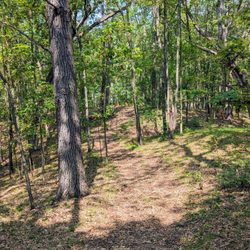 Howell Nature Center - Natural trails