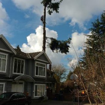 1 2 Tree Care - Tree Services Near Me - North Vancouver, British Columbia