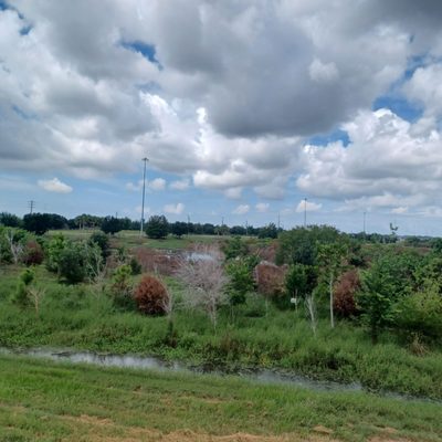 Celery Fields by null